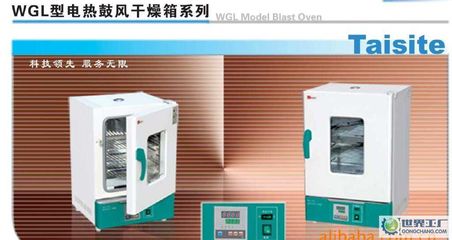 出口型鼓風干燥箱、WGL-30B烘箱、精密恒溫干燥箱_鼓風干燥箱 _世界工廠網